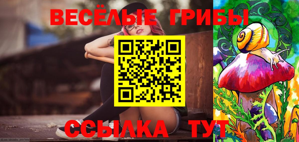 Галлюциногенные грибы MAGIC MUSHROOMS Ногинск